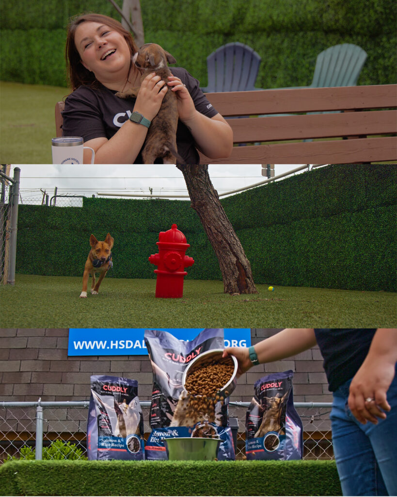 Still shots from the shoot with Cuddly Food Launch video